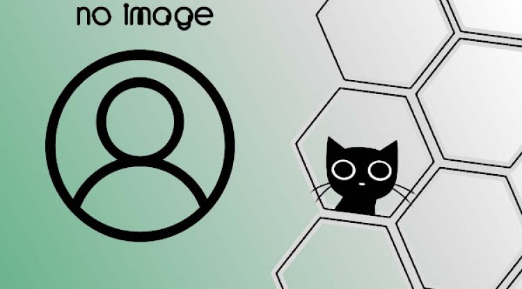 Dotycat.com Documentation Dotycat.com Documentation