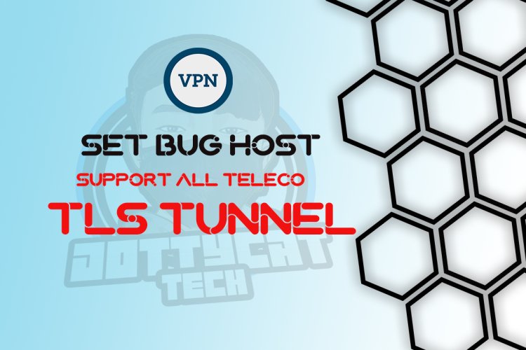 Cara-Cara Settings VPN TLS Tunnel