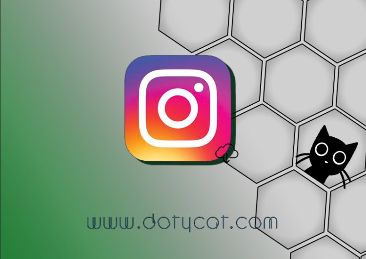 Aplikasi Untuk Download Gambar dan Video Instagram
